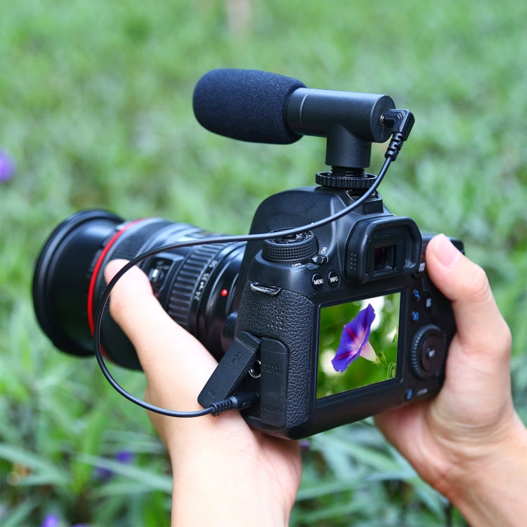 PULUZ 3.5mm Audio Stereo Recording Vlogging Professional Interview Microphone for DSLR & DV Camcorder, Smartphones, Mini Microphone(AE), Mini Microphone